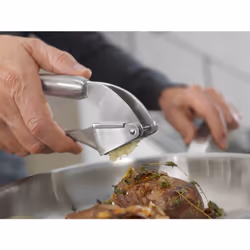 ZWILLING PRO TOOLS Acier inoxydable Presse-ail