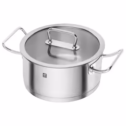 ZWILLING Pro - Faitout avec Couvercle en Verre (24 cm) - Acier Inoxydable