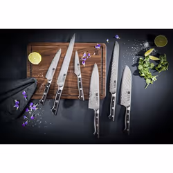 ZWILLING 30571-141-0 Couteau de cuisine Acier 1 pièce Couteau de chef - Vue supplémentaire 8