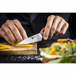 ZWILLING 30570-101-0 Couteau de cuisine Acier 1 pièce Couteau d'office - Vue supplémentaire 4