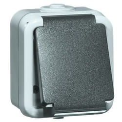 PEHA 00306111 prise de courant Noir, Gris