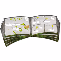 HABA Terra Kids Connectors – Kit Animaux