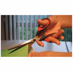 BESSEY D821-160 ciseaux à bouts ronds Universel Découpe droite Noir, Rouge