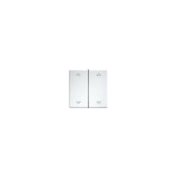 Eltako - DW-FT55-rw+2P Interrupteur à bascule double X249192