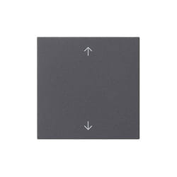 Gira - 4010337027317 anth 536128 système 55 unité de commande intelligente