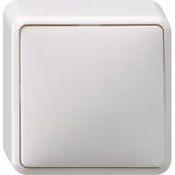 GIRA 010613, Blanc, 250 V, 10 A