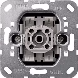 GIRA 010700, Métallique, 250 V, 10 A