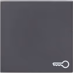 GIRA 028728, Anthracite