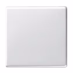 GIRA 029603, Blanc, IP44