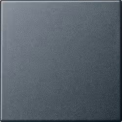 GIRA 029628, Anthracite, IP44