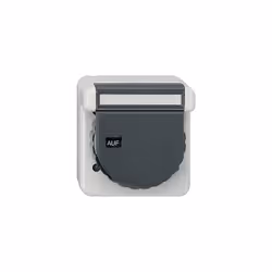Gira 044031 - Toma de corriente Schuko (superficie para escritura, con tapa, WD), color gris