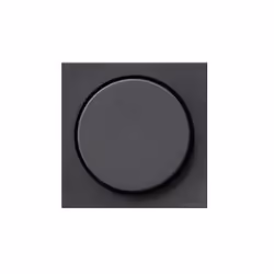 GIRA 0650 28, Anthracite, GIRA, 1 pièce(s)
