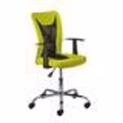 Inter Link Chaise enfant DONNY Vert