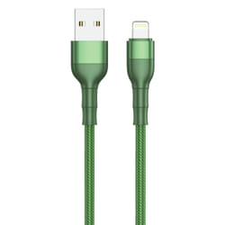 2GO 797310 câble Lightning 1 m Vert