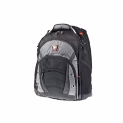 Panasonic PCPE-WENSYN1, Étui sac à dos, 39,1 cm (15.4"), Sangle épaule, 1,4 kg