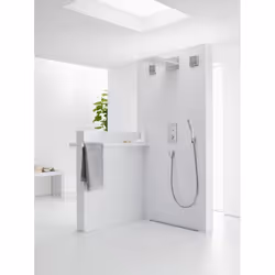 Hansgrohe Raindance Rainfall Pomme de douche fixe Chrome
