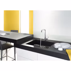Hansgrohe Focus Acier inoxydable