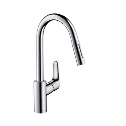 Hansgrohe Focus Acier inoxydable