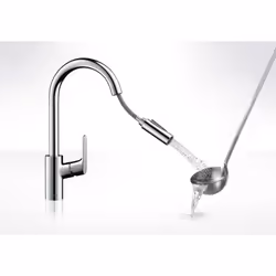 Hansgrohe Focus Acier inoxydable