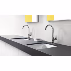 Hansgrohe Logis Chrome - Vue supplémentaire 4