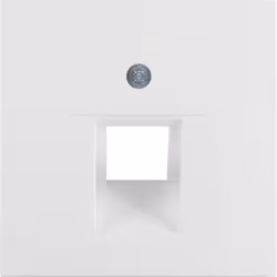 Berker 14071909, Blanc, Plastique, conventionnel, 10 pièce(s)
