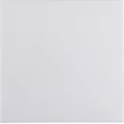 Hager 16208989, Blanc, Plastique, Thermoplastique, Sans vis, Toutes marques, Brillant, 1 pièce(s)