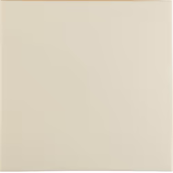 Berker 16208982, Blanc, Plastique, Thermoplastique, Sans vis, Toutes marques, Brillant, 1 pièce(s)