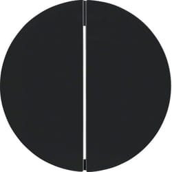 Hager 16232045 interrupteur d'éclairage Noir