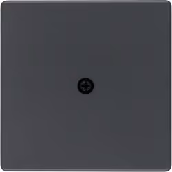 Berker 10196086, Anthracite, Duroplast, conventionnel, Berker, Q.1/Q.3, 10 pièce(s)