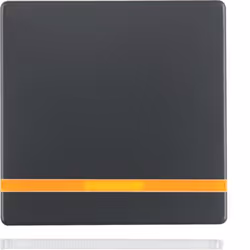 Hager 16216086, Anthracite, Duroplast, 10 pièce(s)