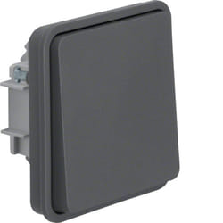 Berker 6130763515 interrupteur d'éclairage Gris