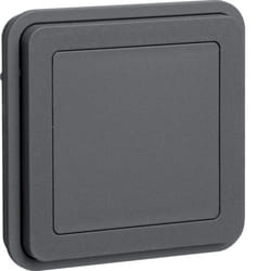 Berker 42903505 Plaque de commutation et obturateur Gris
