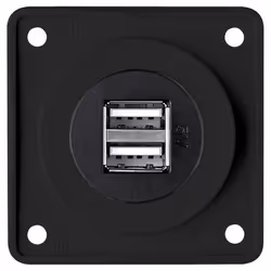 Berker Integro Prise de Charge Double USB