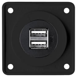 Berker Integro Prise de Charge Double USB