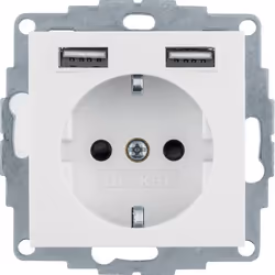 Berker 48031909, Type F + 2 x USB A, USB 2.0, Blanc, Thermoplastique, IP20, 250 V