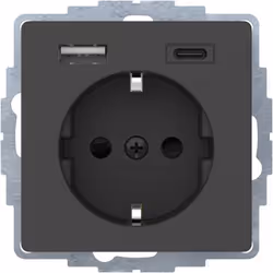Berker 48046086, Anthracite, Métal, Plastique, IP20, 250 V, 16 A, 50 Hz