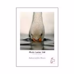 Hahnemühle Photo Luster 260, Semi brillant, 260 g/m², Blanc, 265 µm, 610 mm, 30 m