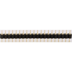 Bkl Electronic - Barrette mâle (de précision) Nbr de rangées: 1 Nombre de pôles par rangée: 32 10120538 1 pc(s) D19257