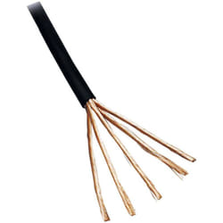 1106007/5 Câble audio 4 x 0.1 mm² noir 5 m - Bkl Electronic