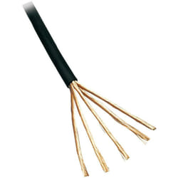 Bkl Electronic - 1509018/10 Câble audio 8 x 0.08 mm² noir 10 m S910431