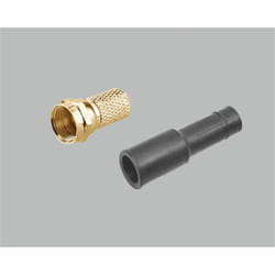 BKL Electronic 0403503 connecteur de fils F Or