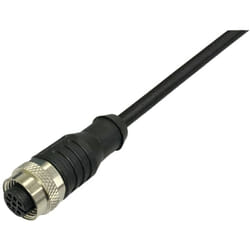 Bkl Electronic - 2702006 Câble de raccordement M12 femelle, droit 2 m Nombre de pôles: 4.5 1 pc(s)