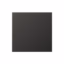 JUNG AL 2990 AN Caractéristiques : - Produits compatibles : 4071.02 LED, 4071.01 LED - Couleur : Noir - Code (IP) Internation ...