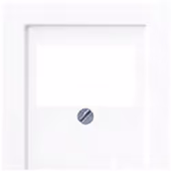 Informations techniques Code couleur RAL (similaire) : 9010 Composants du commutateur : Cache Convient pour (détails) : TAE C ...