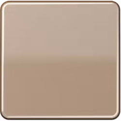 Jung Cache Interrupteur va-et-vient Bouton-poussoir bronze CD590GB 1 pc(s)