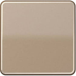 Jung Cache Interrupteur va-et-vient Bouton-poussoir bronze CD590GB 1 pc(s)