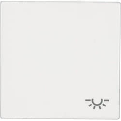 Bascule symbole éclairage Jung ls 990 l ww blanc-alpin