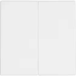 Informations techniques Code couleur RAL (similaire) : 9010 Composants du commutateur : Cache Couleur : blanc-alpin Fonction  ...