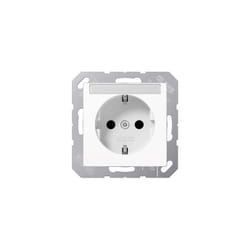 Simple Insert Prise de courant blanc-alpin A1520BFNAWW 1 pc(s) Q240622 - Jung