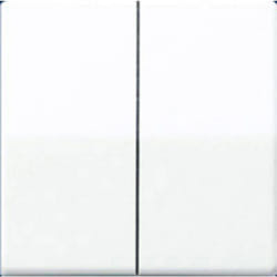 Simple Insert Bouton-poussoir blanc-alpin AS591-5WW 1 pc(s) - Jung